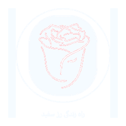 راه زندگی رز سفید